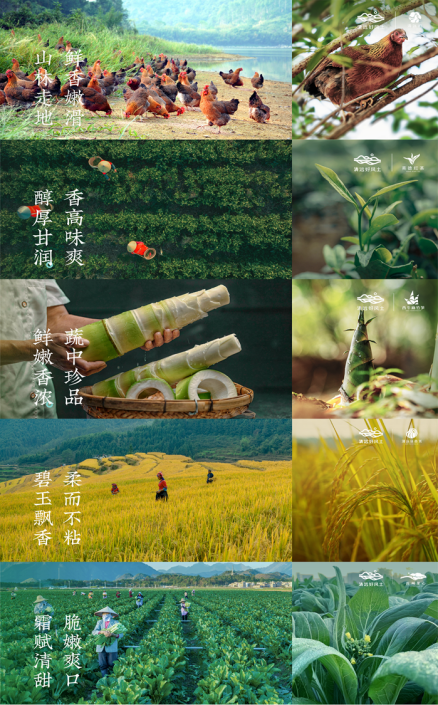 从“五大百亿”到千亿新蓝图！广东清远的“媒体+”现代农业方法论