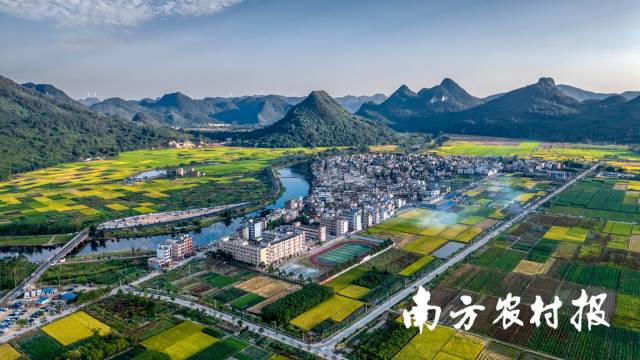 从“五大百亿”到千亿新蓝图！广东清远的“媒体+”现代农业方法论(图2)