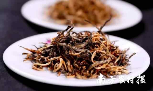 从“五大百亿”到千亿新蓝图！广东清远的“媒体+”现代农业方法论(图5)