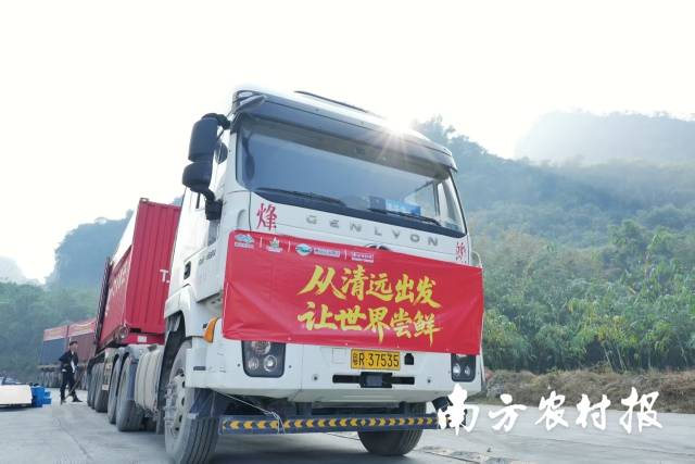 从“五大百亿”到千亿新蓝图！广东清远的“媒体+”现代农业方法论(图11)