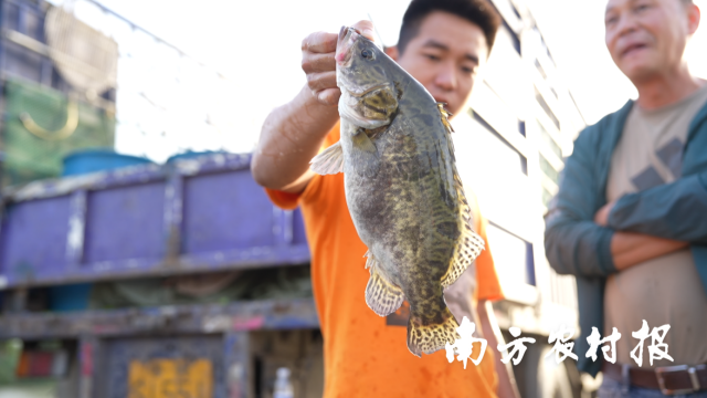 从“五大百亿”到千亿新蓝图！广东清远的“媒体+”现代农业方法论(图18)