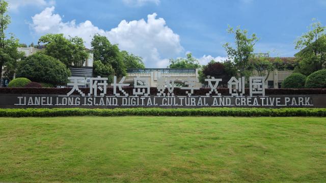 成都高新区电竞战队勇夺CFS全球总决赛冠军(图3)