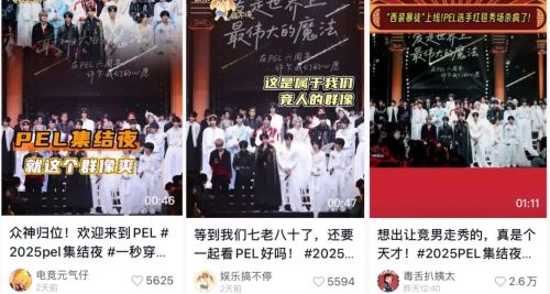 从赛事品牌到文化品牌PEL野心有点大(图2)