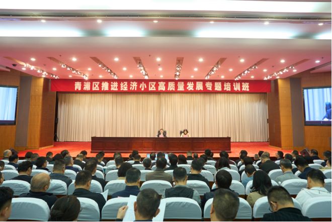 喜迎两会丨高质量发展如何“落地”？解码青浦建议提案办理的优秀答案