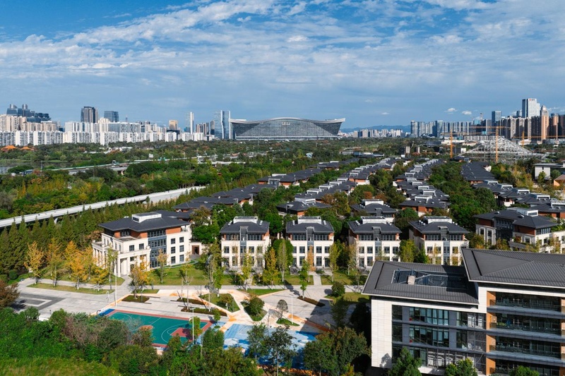 又一经典网剧IP“画皮”落地成都高新区“一杯咖啡的距离”更具“国际范”(图3)