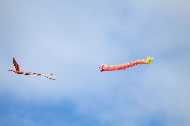 筑梦低空领航未来！2024第二十届“深南电路杯”航空模型大赛举行(图3)